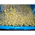 Canned Soybean Sprout/Marinated Mung Bean Sprout